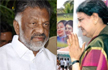 O Panneerselvam or VK Sasikala  who will get AIADMK symbol two leaves?